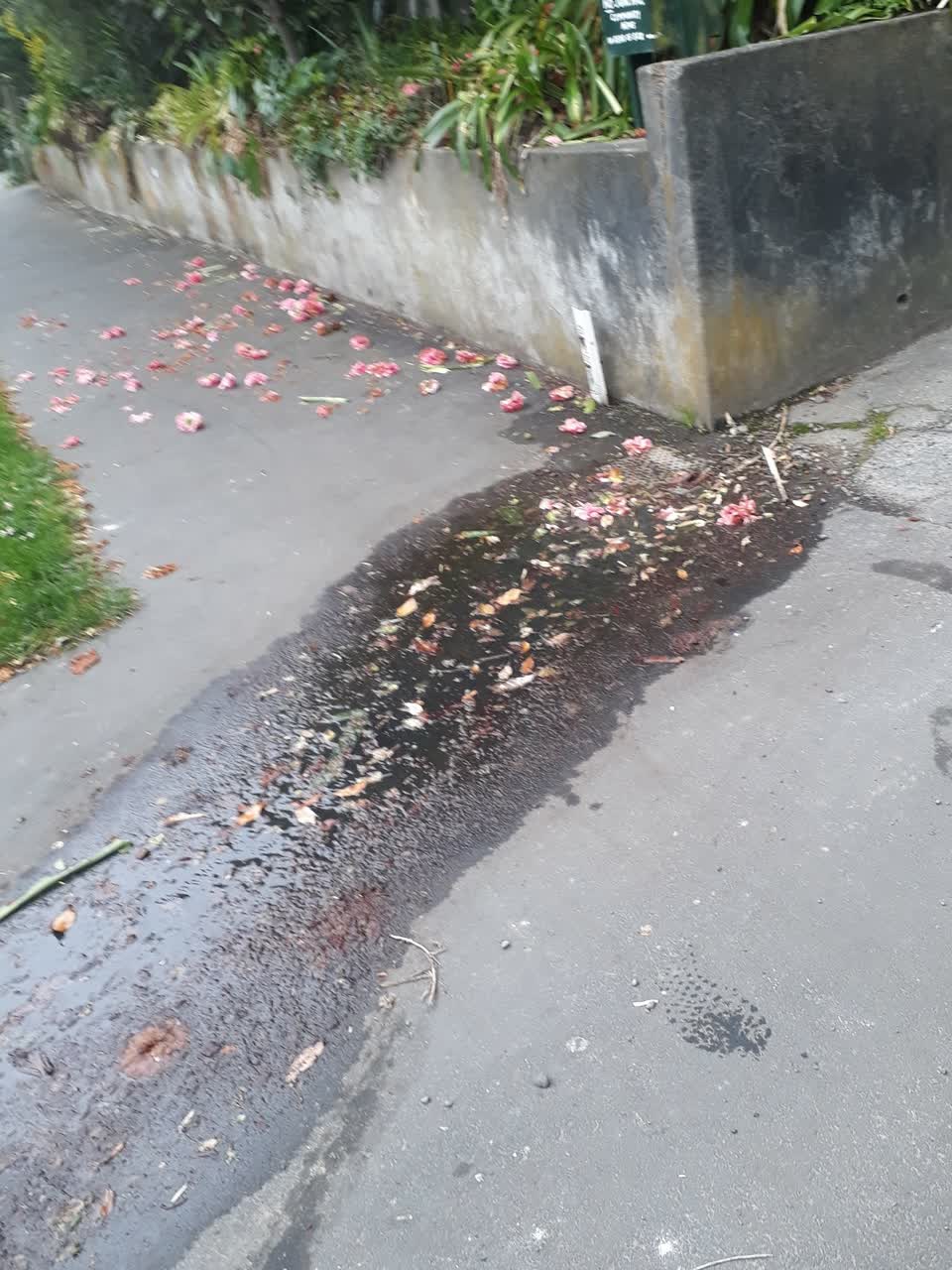 The photograph attached to this water leak report