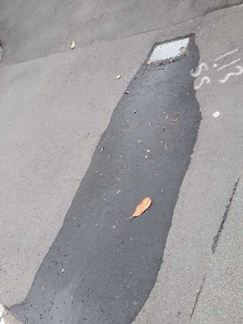 Water Leak, a report photo