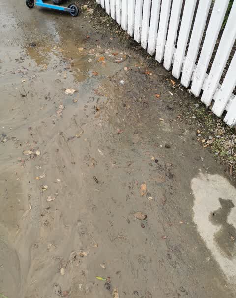 Water Leak, a report photo