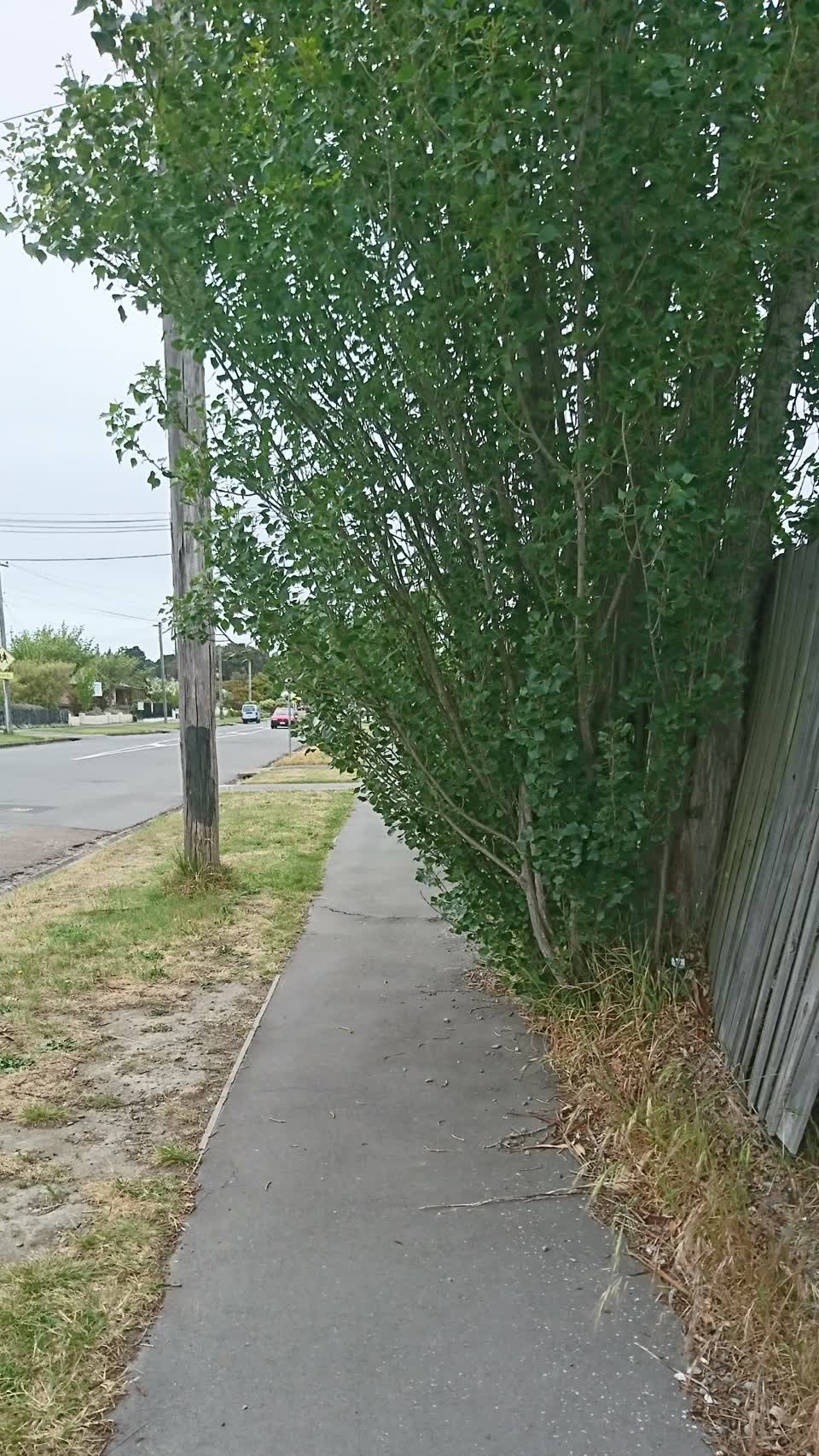 The photograph attached to this roading/streets report