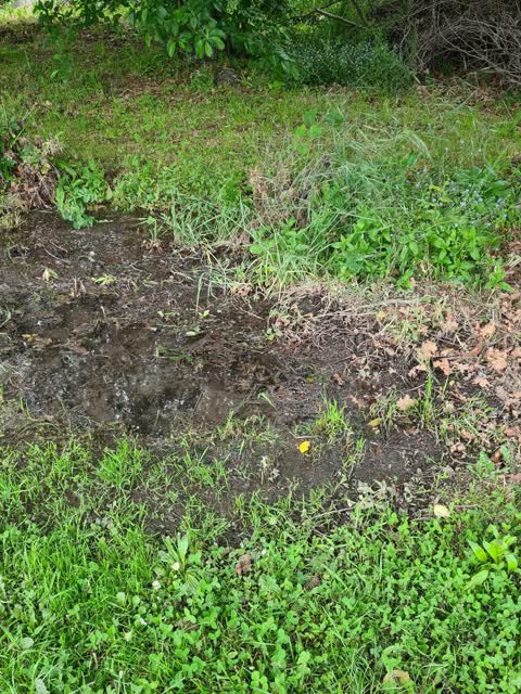 Water Leak, a report photo