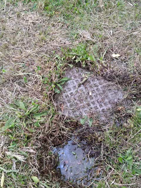 Water Leak — a report photo