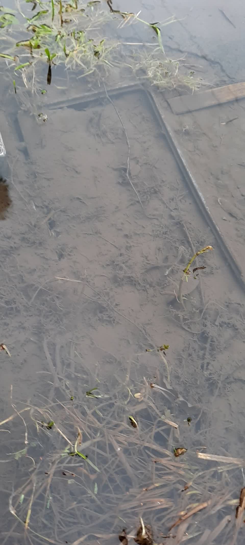 The photograph attached to this flooding report