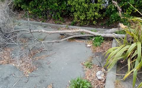 Parks, a report photo