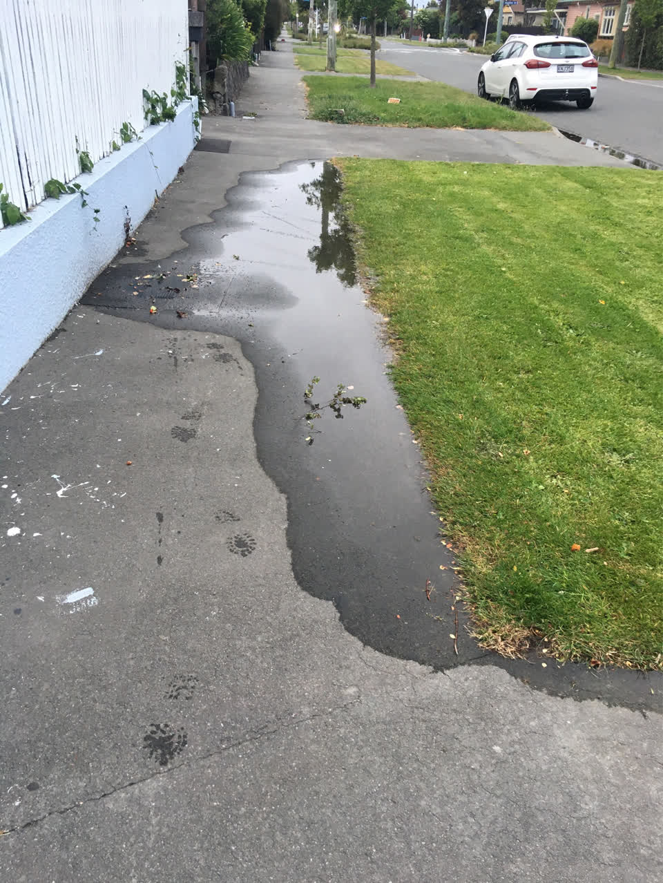 The photograph attached to this water leak report