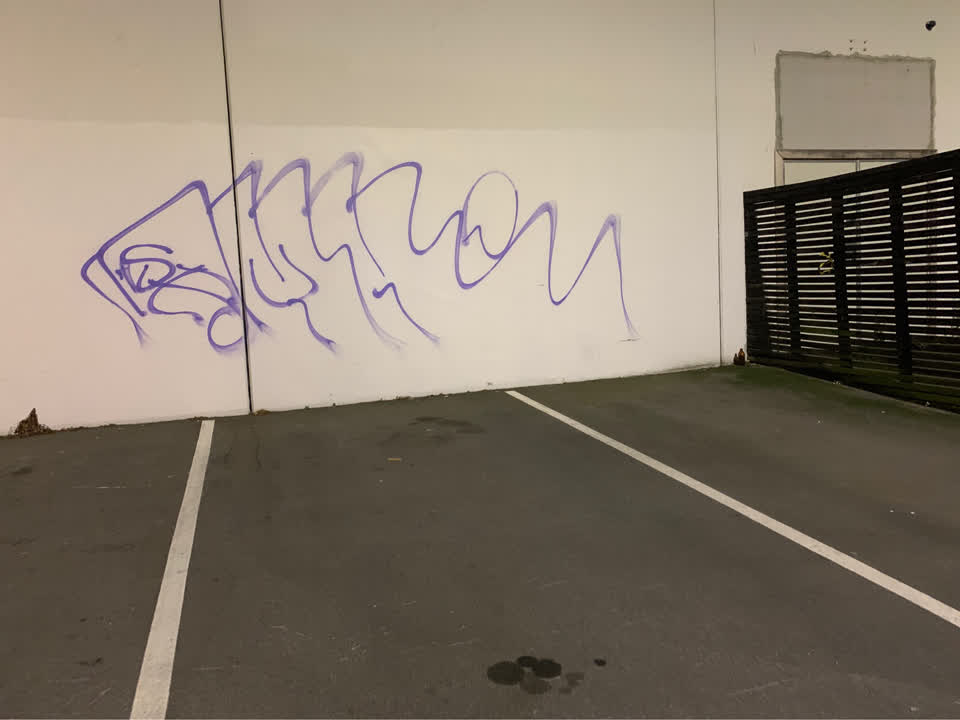 The photograph attached to this graffiti report
