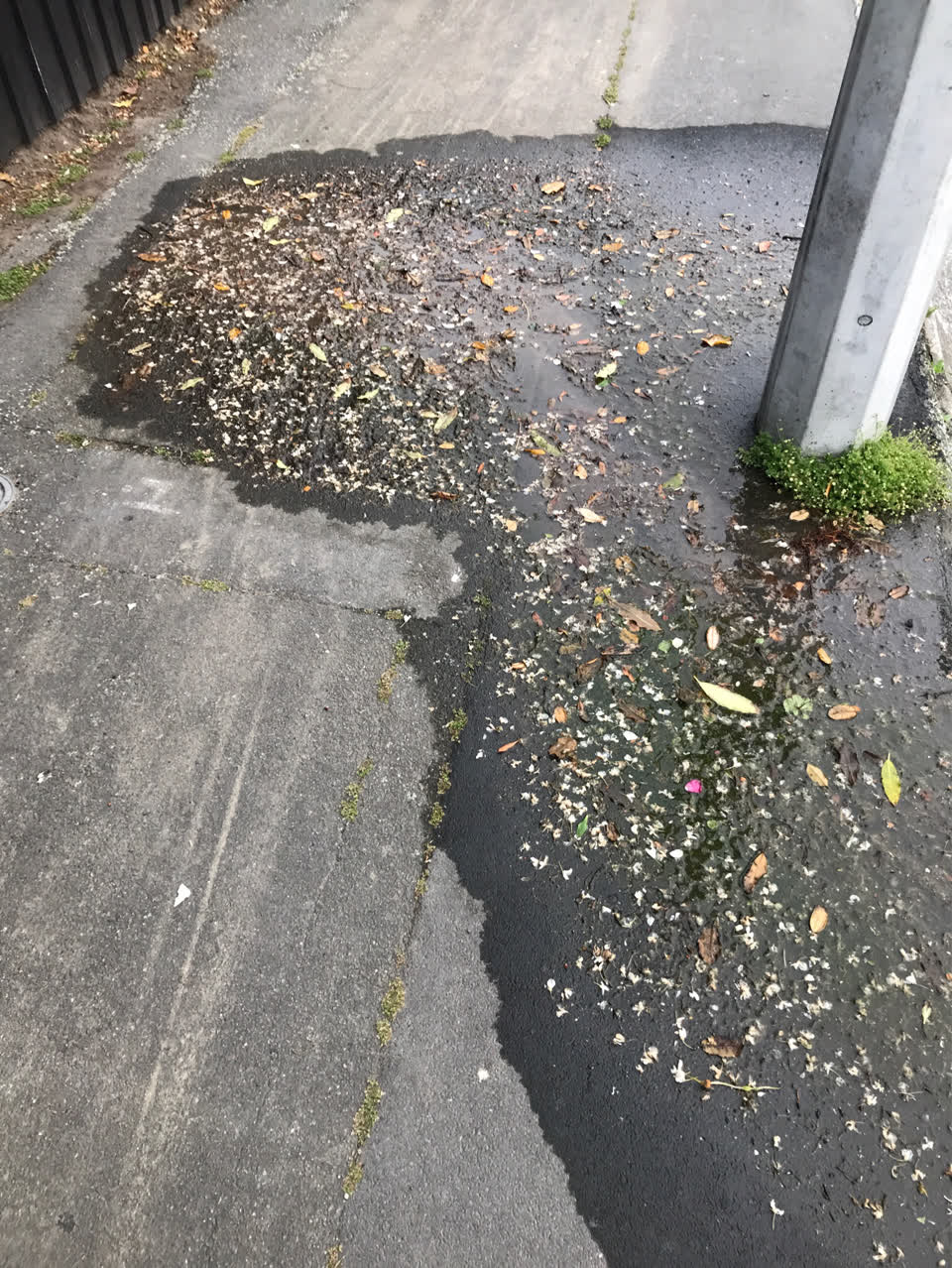 The photograph attached to this water leak report