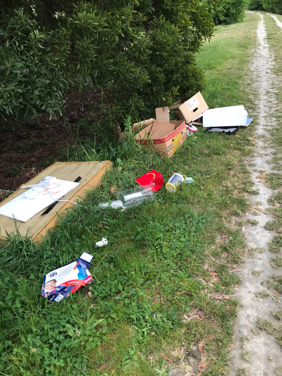 The photograph attached to this rubbish/recycling report