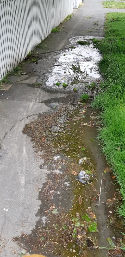 Water Leak, a report photo