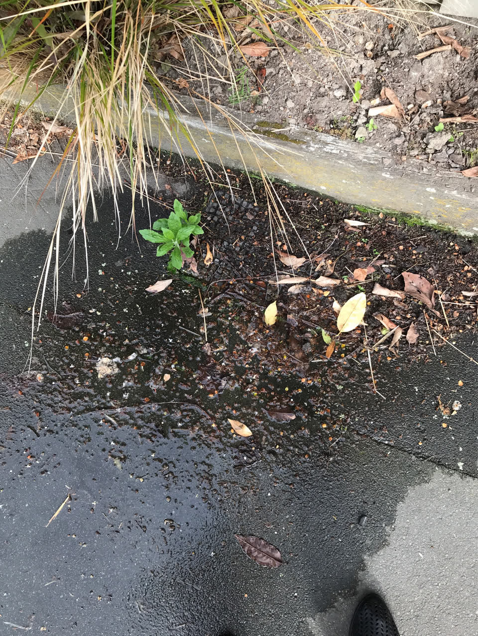 The photograph attached to this water leak report
