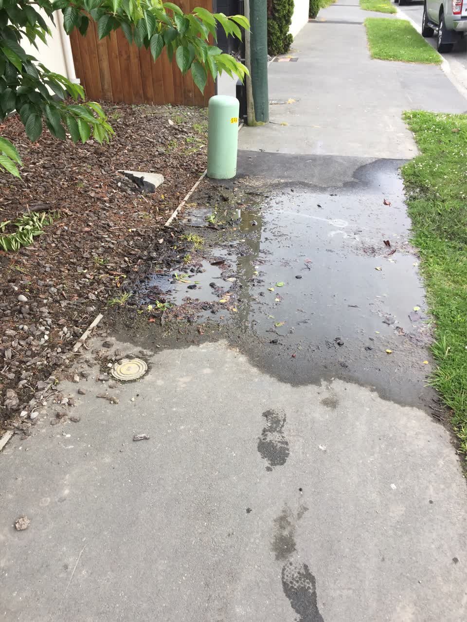 The photograph attached to this water leak report