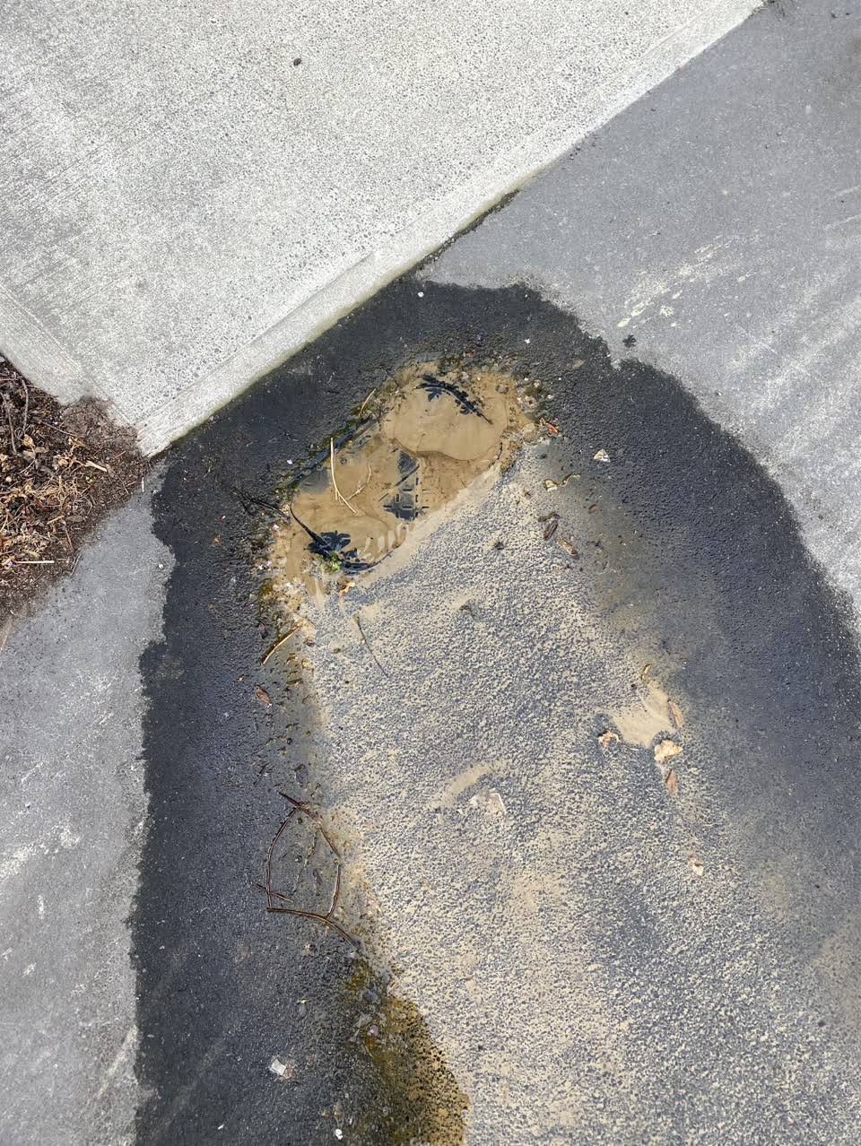 The photograph attached to this water leak report