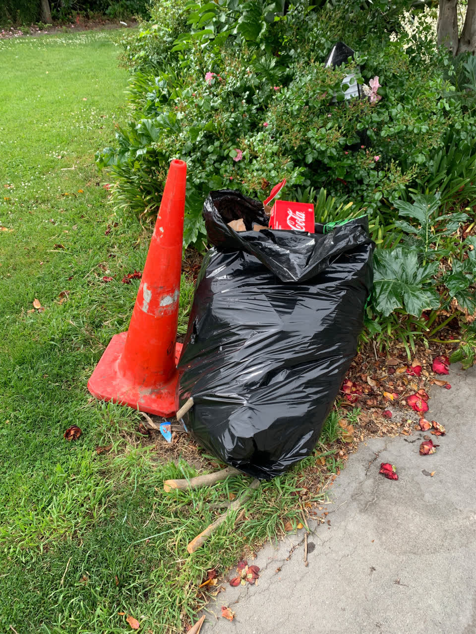 The photograph attached to this parks report