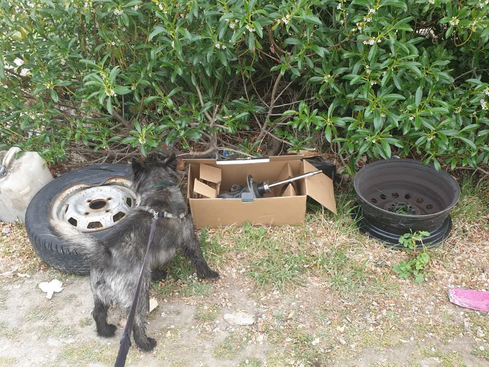 The photograph attached to this rubbish/recycling report