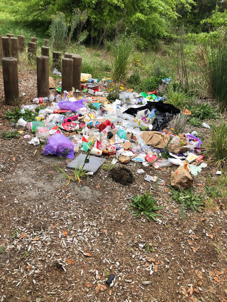 The photograph attached to this rubbish/recycling report