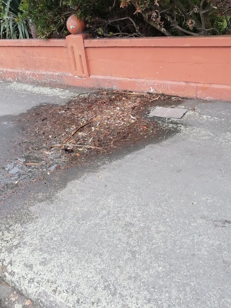 The photograph attached to this water leak report