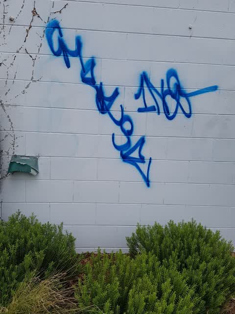 Graffiti, a report photo
