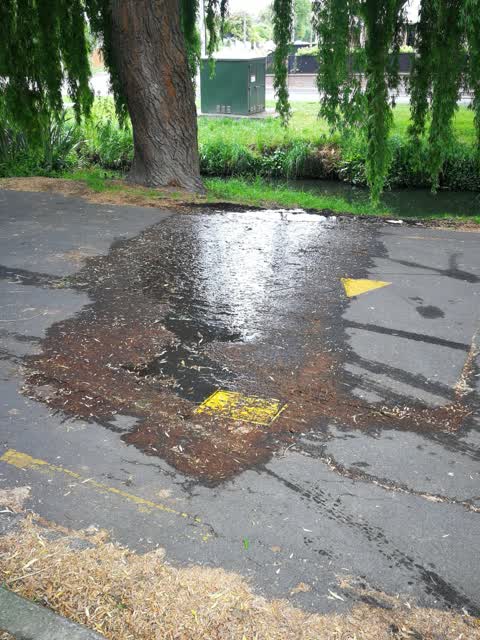 Water Leak, a report photo