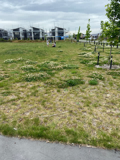 Parks, a report photo