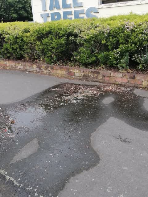Water Leak, a report photo