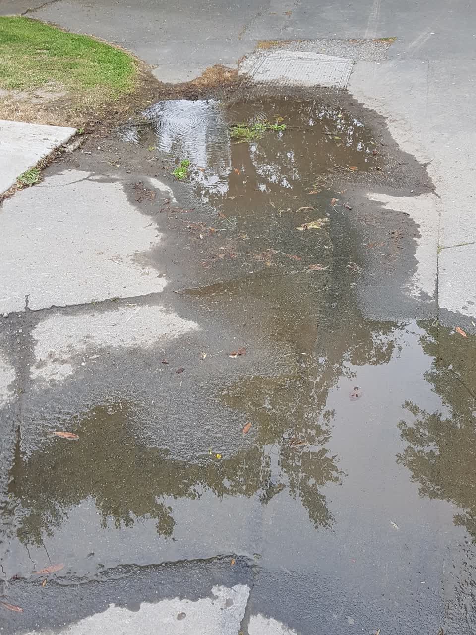 The photograph attached to this water leak report