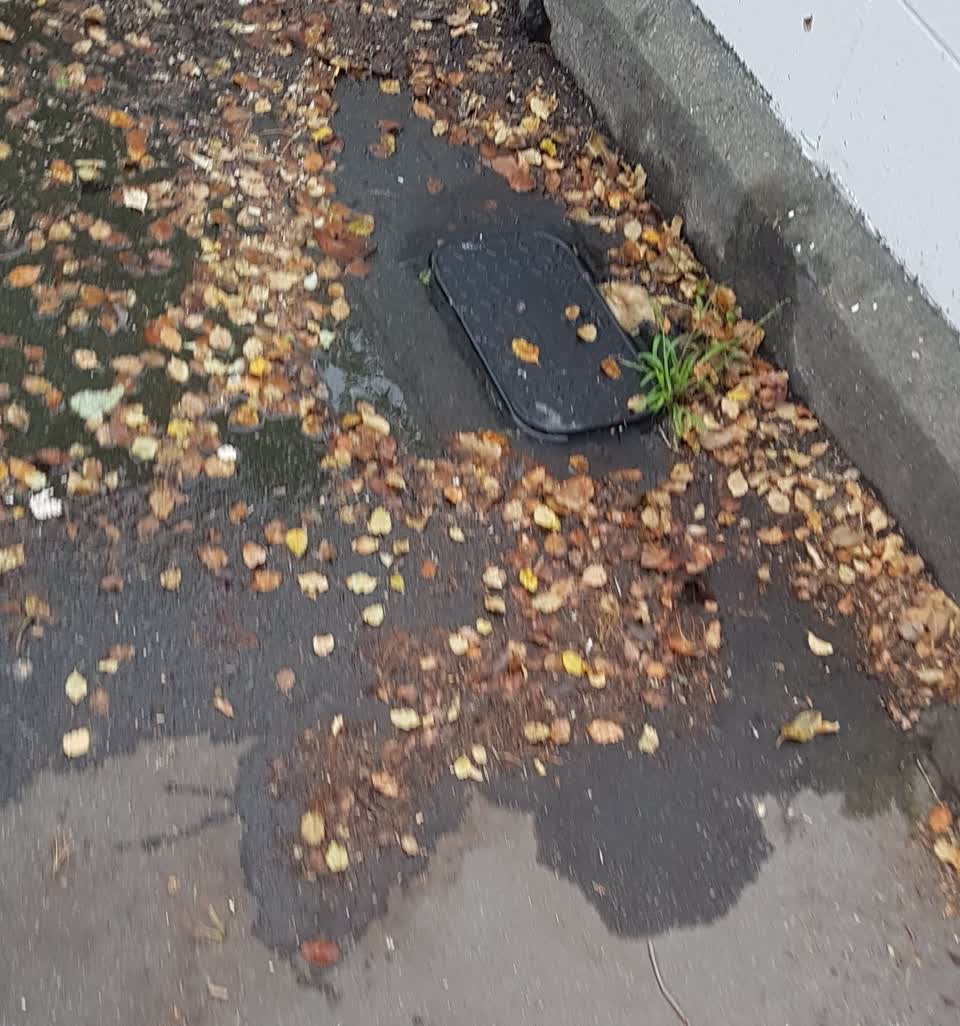 The photograph attached to this water leak report