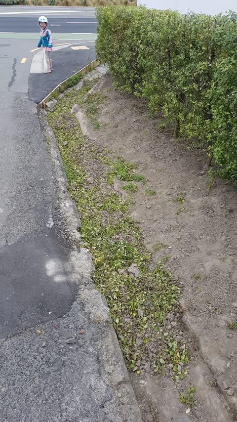 Wastewater/Stormwater — a report photo