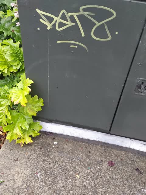 Graffiti, a report photo
