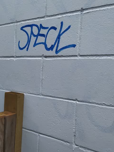 Graffiti — a report photo