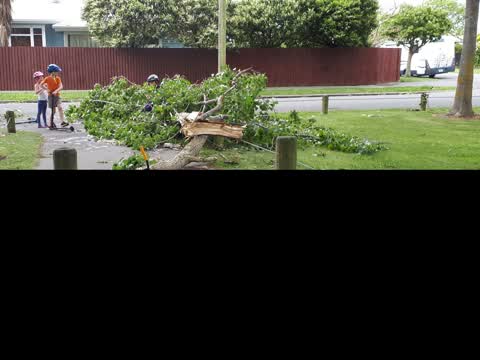 Parks, a report photo
