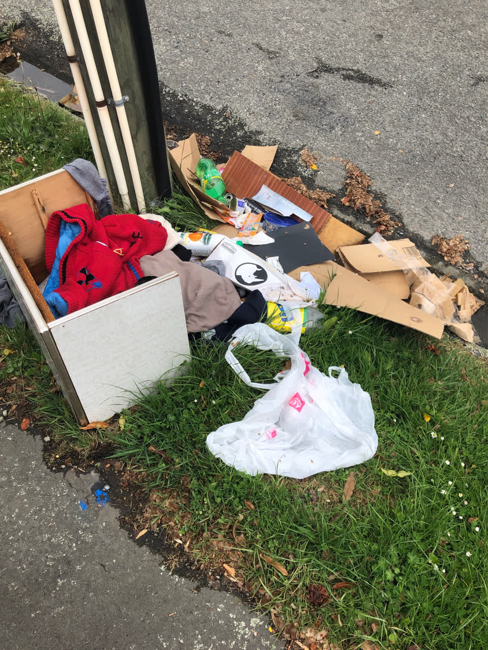 The photograph attached to this rubbish/recycling report