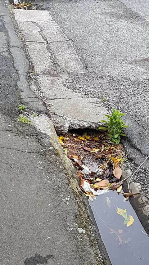 Roading/Streets, a report photo