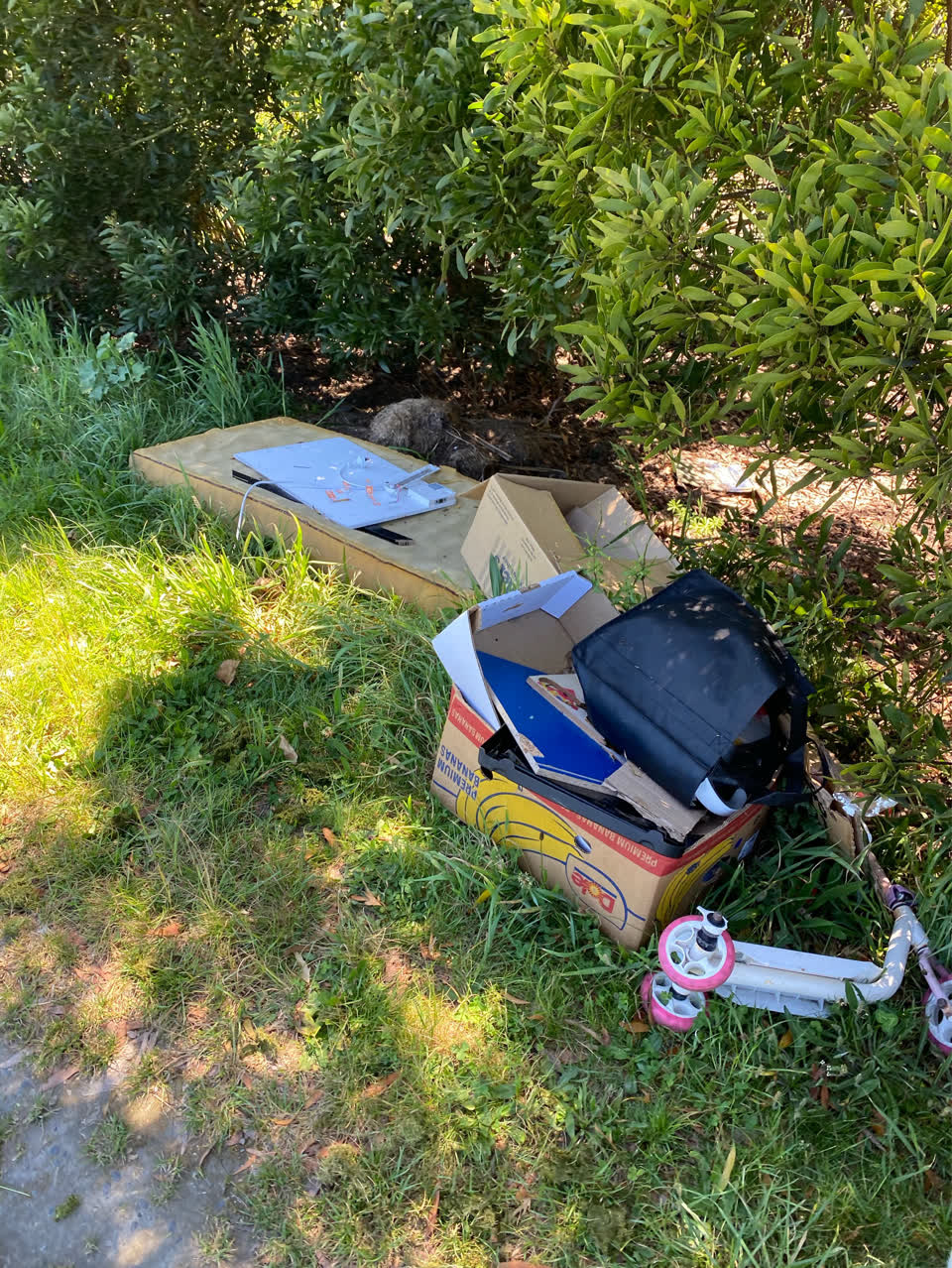The photograph attached to this rubbish/recycling report