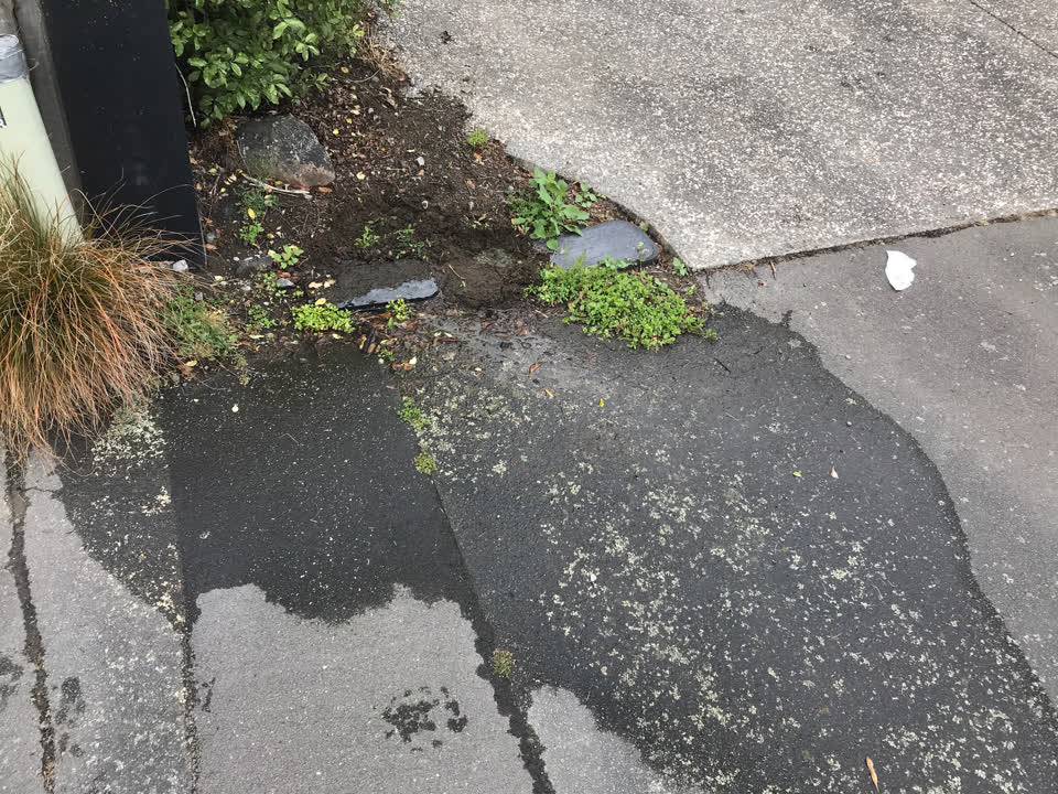 The photograph attached to this water leak report