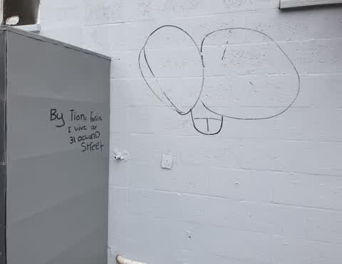 Graffiti, a report photo