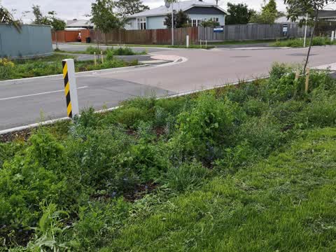 Roading/Streets, a report photo