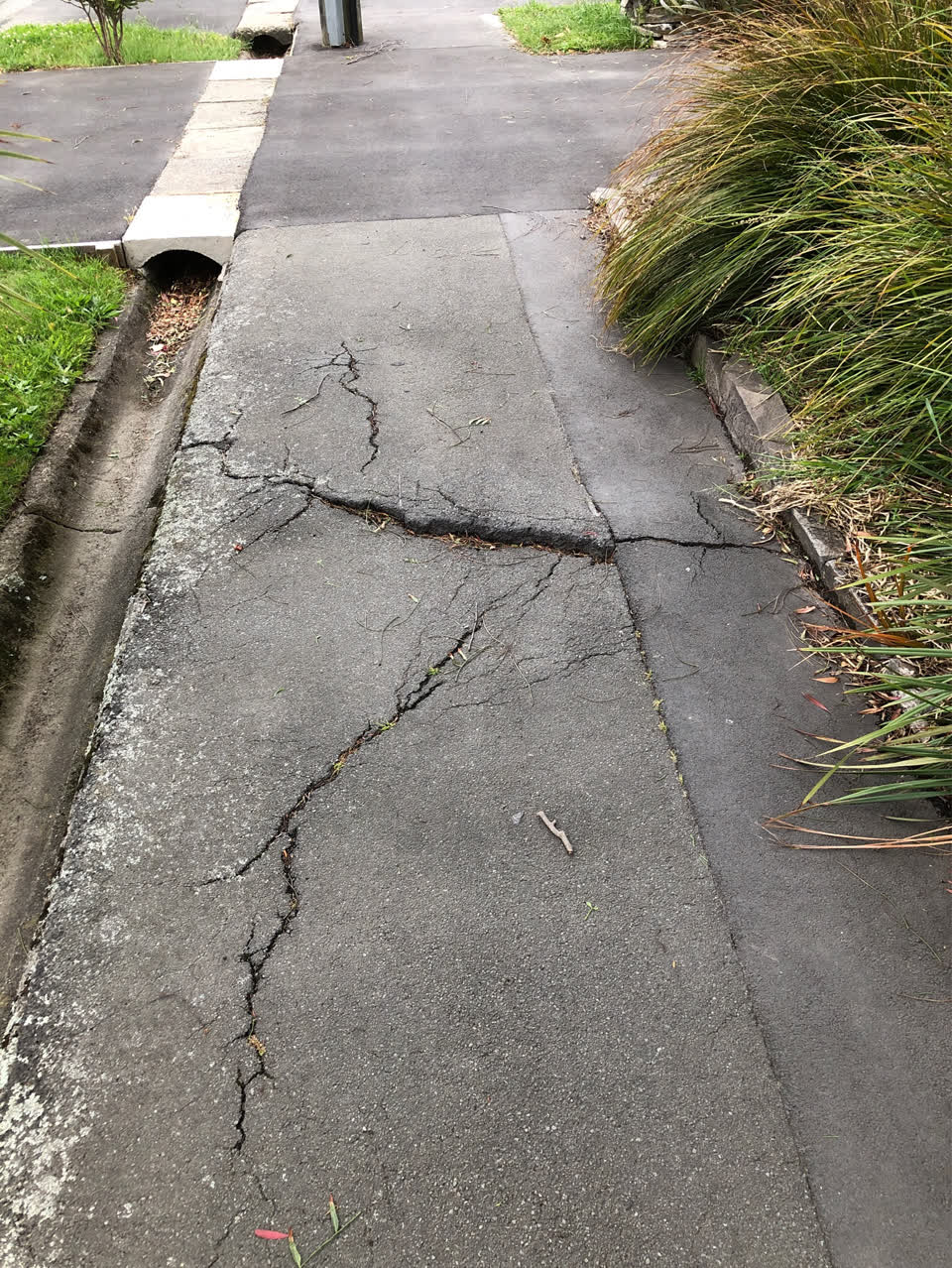 The photograph attached to this street light outage report