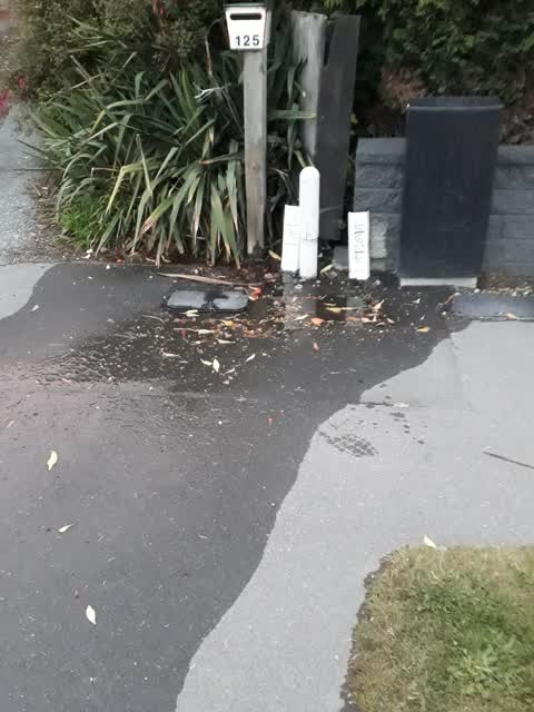 Water Leak, a report photo