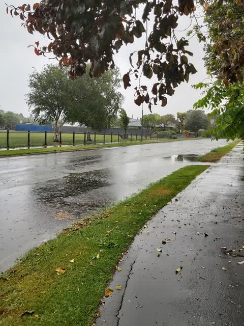 Wastewater/Stormwater — a report photo