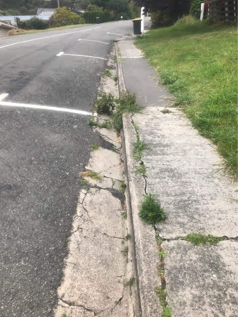 Roading/Streets, a report photo