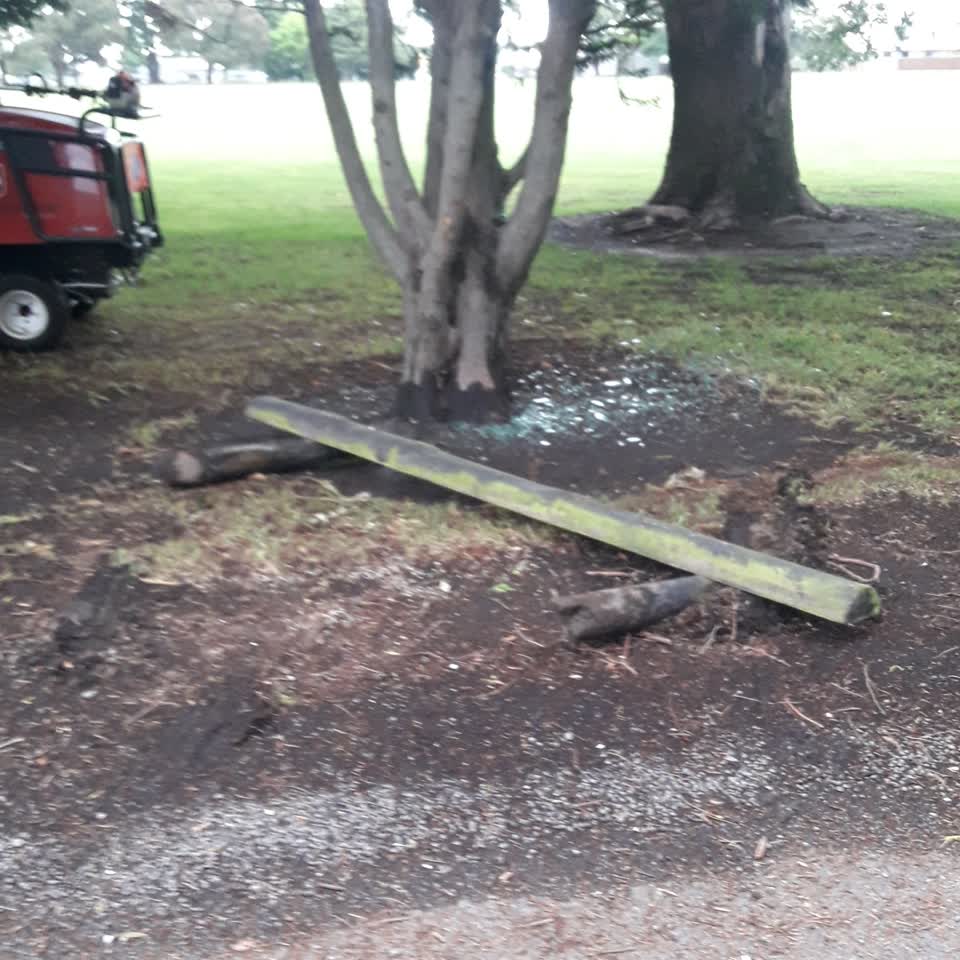 The photograph attached to this parks report
