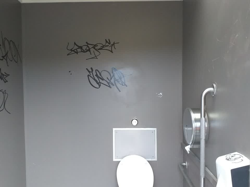 The photograph attached to this graffiti report
