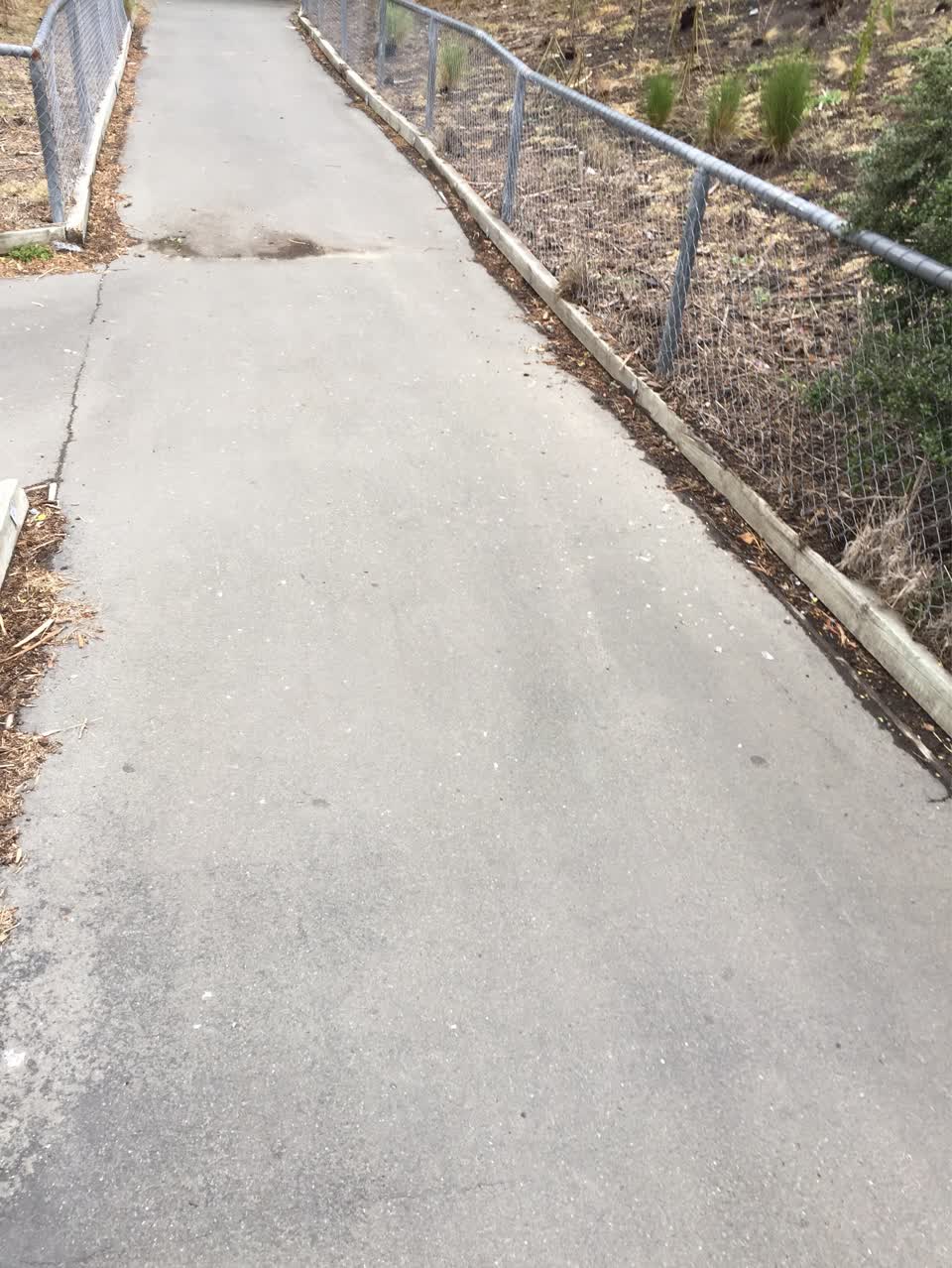 The photograph attached to this parks report