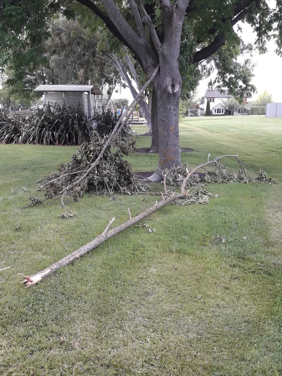 The photograph attached to this parks report