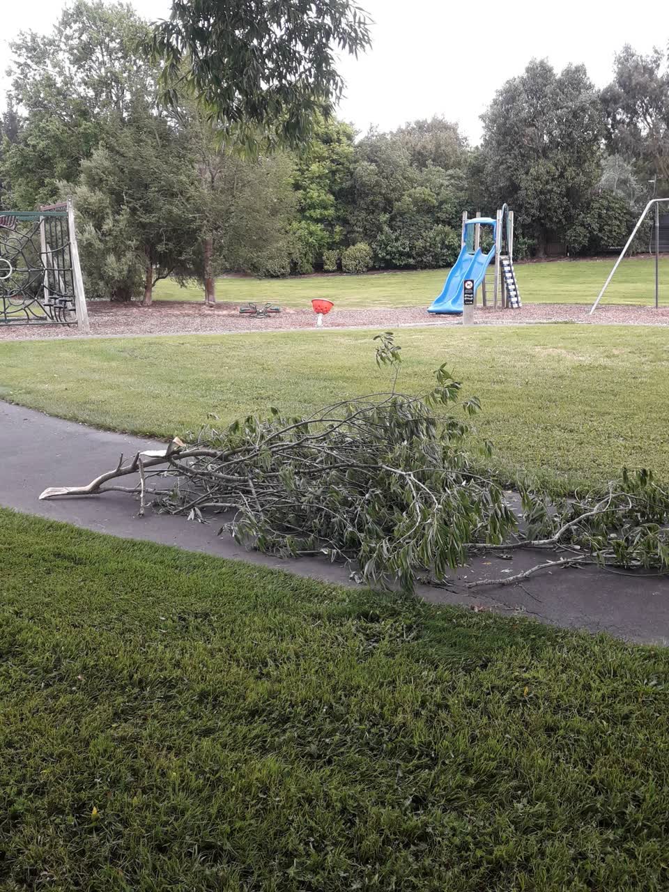 The photograph attached to this parks report