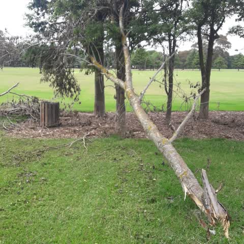 Parks, a report photo
