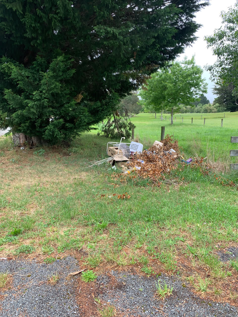 The photograph attached to this rubbish/recycling report
