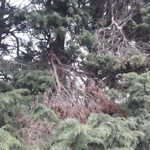 Parks, a report photo