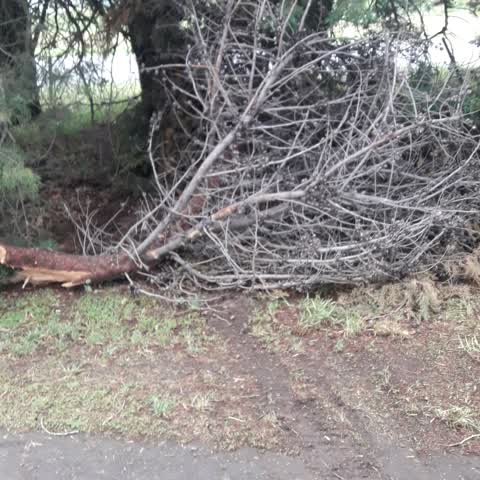 Parks — a report photo