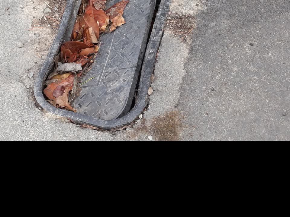 The photograph attached to this street light outage report